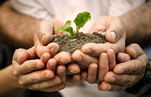 Giá trị cốt lõi